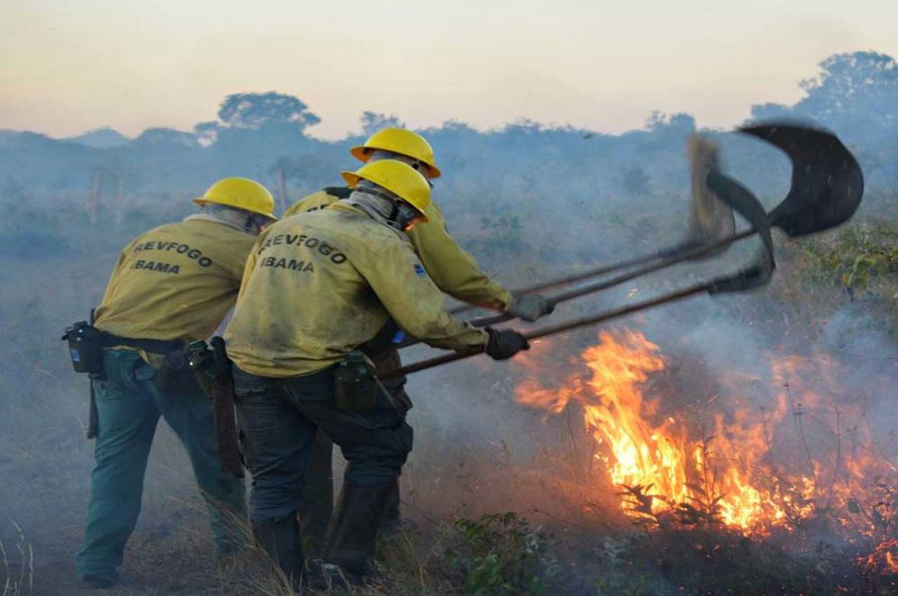 Brigadistas tentam controlar incêndio em mata - Divulgação