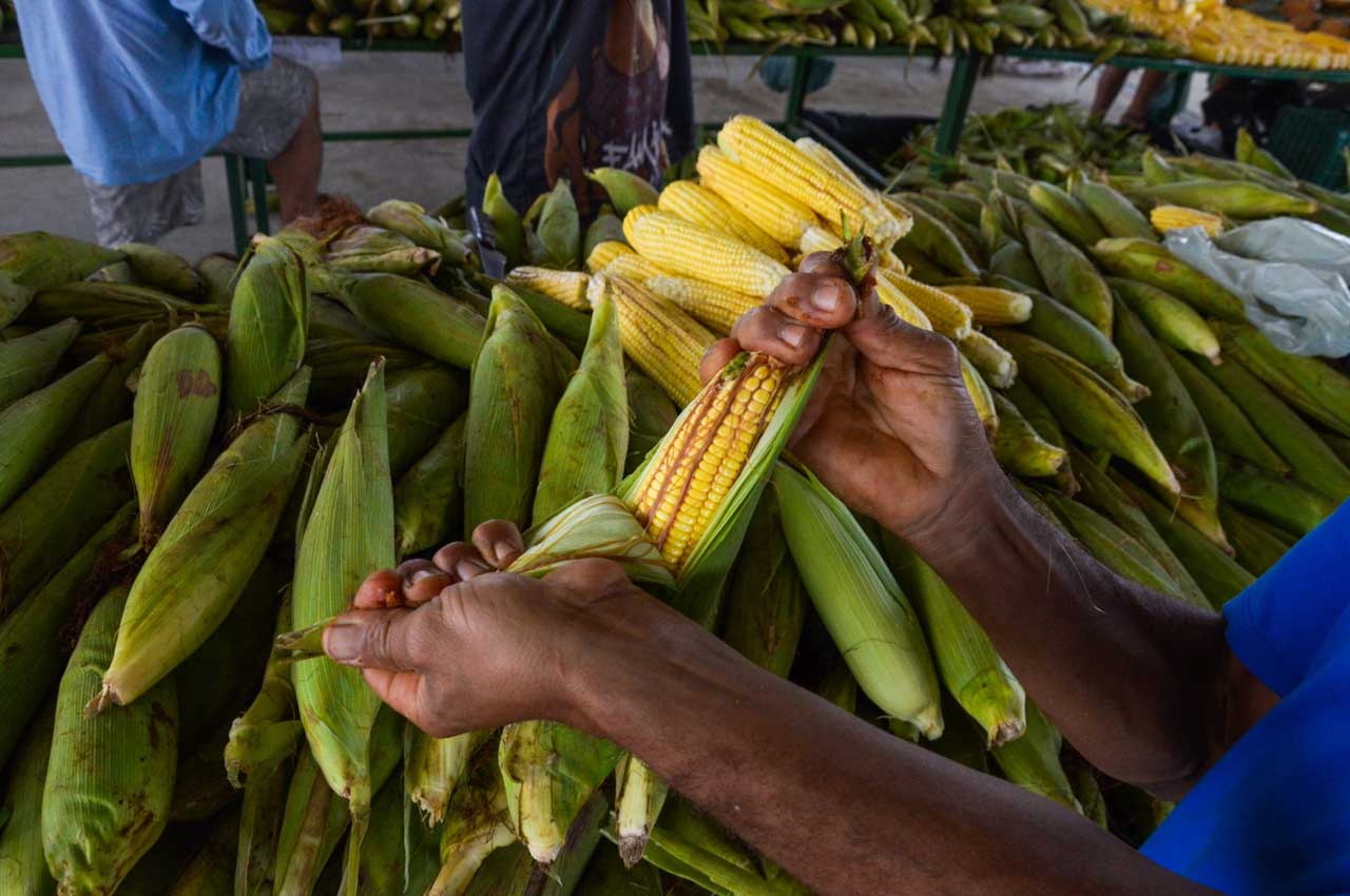 Preço da mão do milho varia 50% e produto chega a custar R$ 60 em João Pessoa