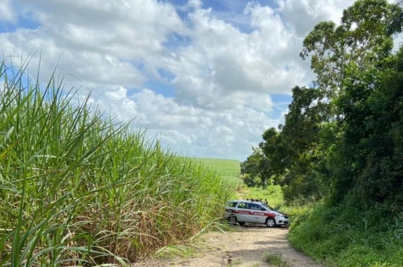 Homem e mulher morrem abraçados em canavial de Santa Rita foto--- Betinho Nascimento/RTC