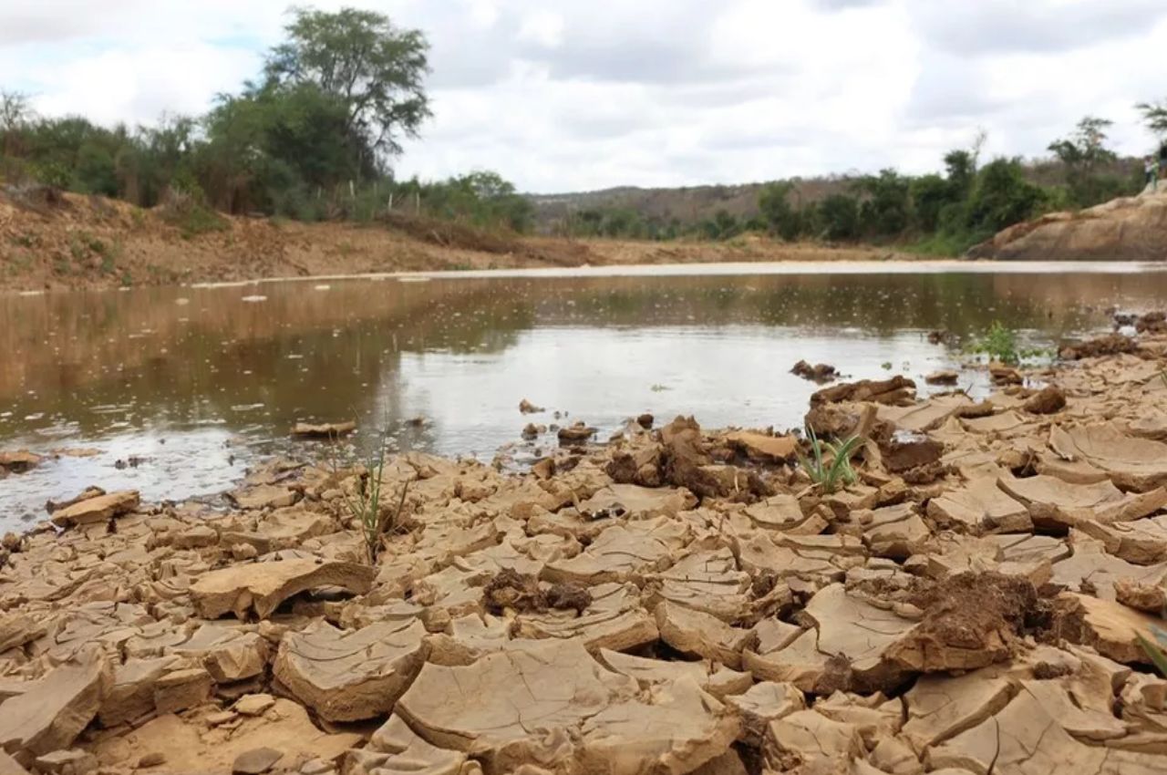 31 cidades da PB estão em situação de emergência por causa da estiagem — Foto--- Artur Lira