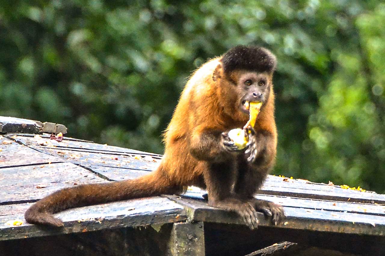 Parque Arruda Câmara segue com programação de férias gratuita para crianças