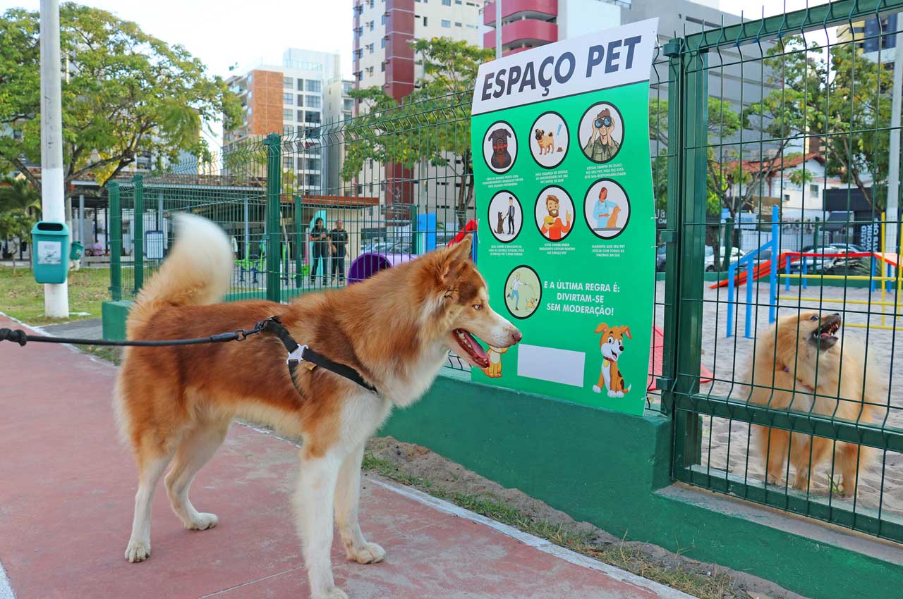 João Pessoa agora conta com ‘Espaço Pet’ nas praças da cidade